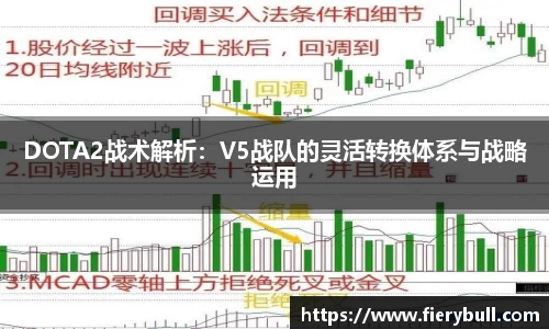 球速体育平台