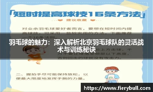 球速体育